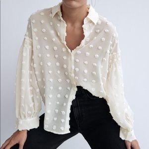 Zara Blouse NWT